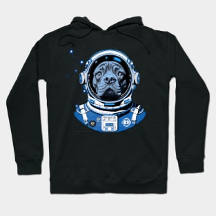 Alapaha Blue Blood Bulldog Astronaut Design Hoodie